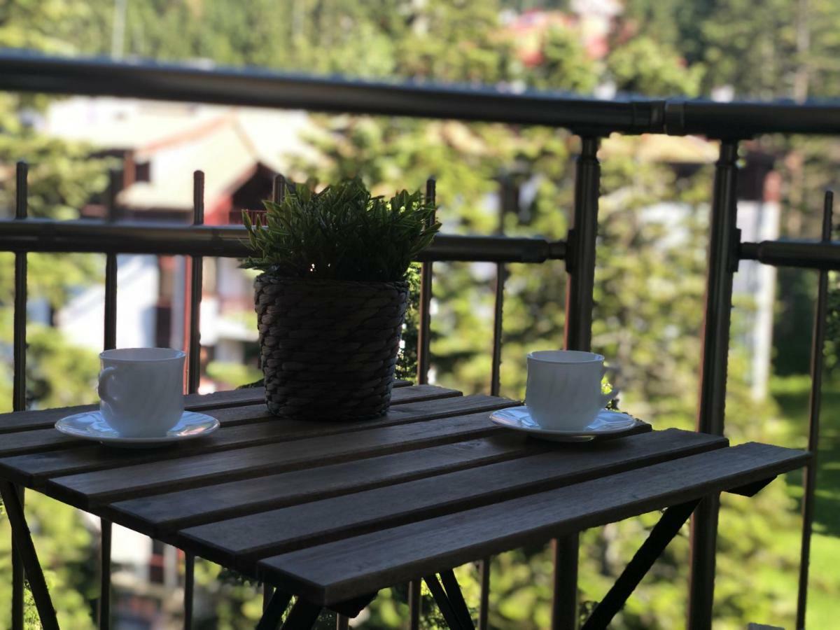 波罗维茨Deluxe 707公寓 外观 照片